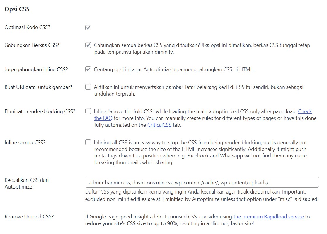 Opsi CSS Autoptimize
