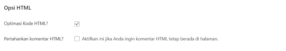 Opsi HTML Autoptimize