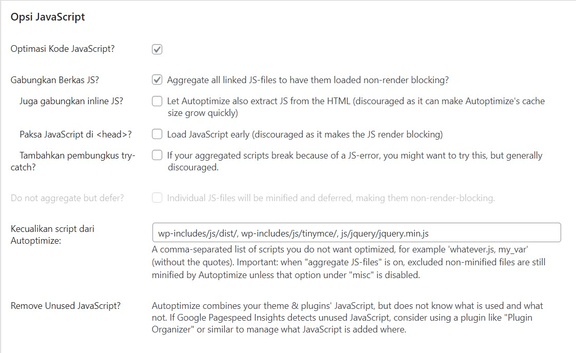 Opsi Javascript Autoptimize