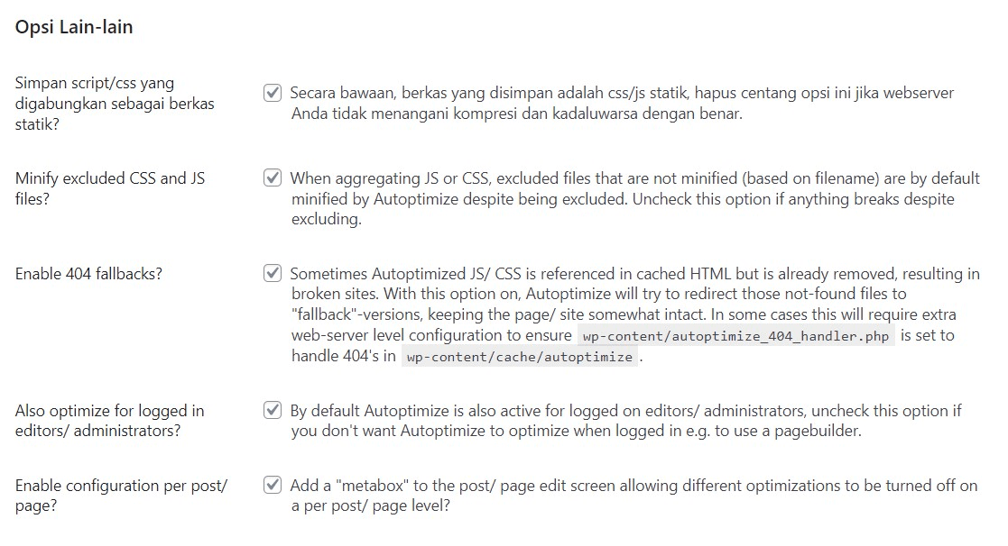 Opsi Lain-lain Autoptimize