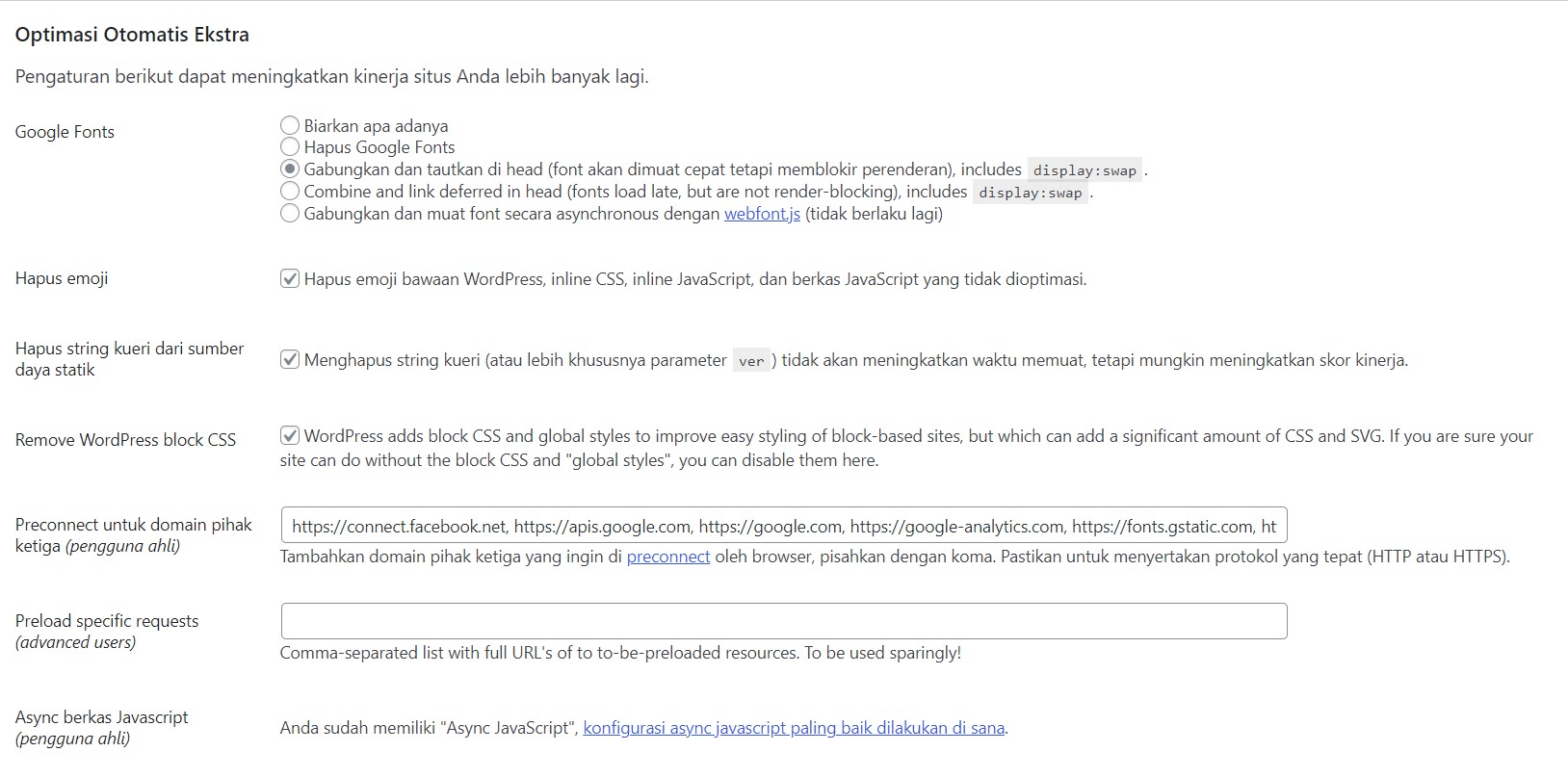 Optimasi Otomatis Ekstra Autoptimize