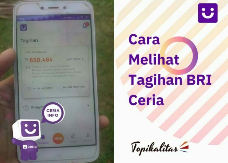 Cara Melihat Tagihan Bri Ceria